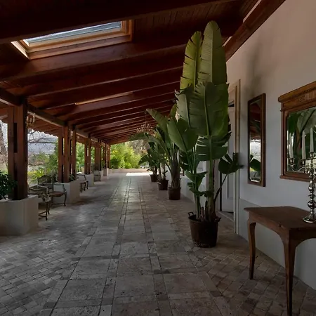 Hotel La Del Pontefice - Luxury